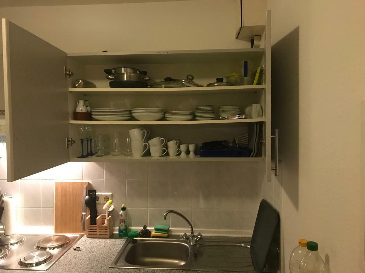 Kleine Wohnung Im Gruenen Дрезден Экстерьер фото